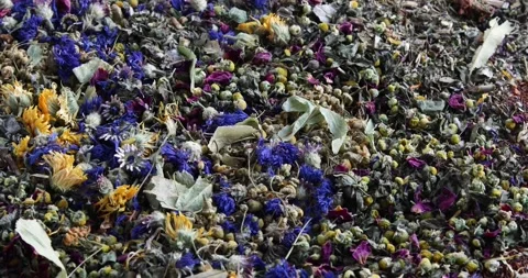 Herbal tea	 Stock Footage 168982938