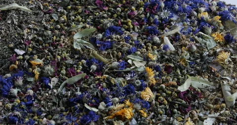 Herbal tea Stock Footage 310927374