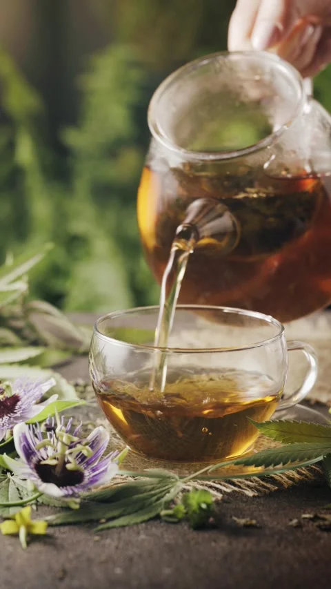 Herbal tea hemp tea Stock Footage 224959663