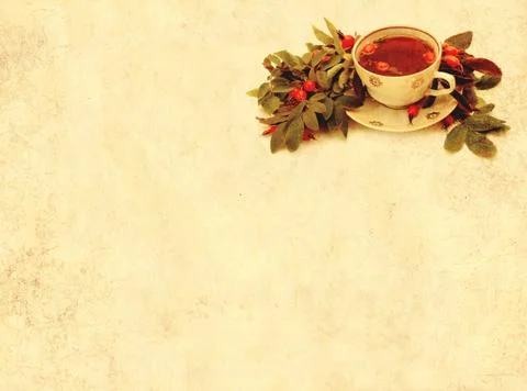 Herbal tea Stock Illustration