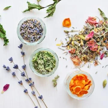 Herbal tea ingredients Stock Photos