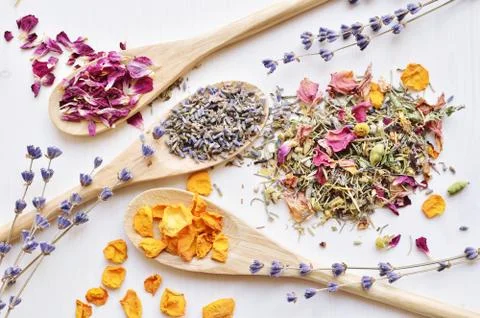 Herbal tea ingredients Stock Photos