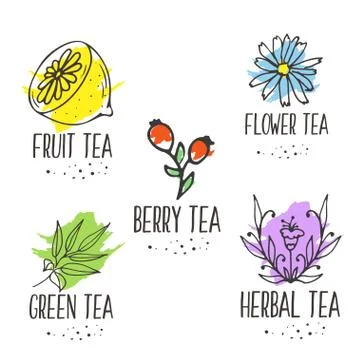 Herbal tea logo elements collection. Organic herbs and wild flowers Stock Illustration