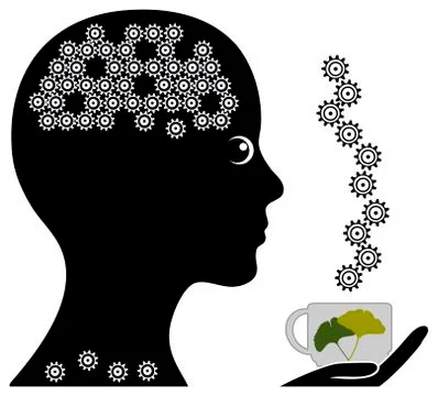 Herbal Tea for Memory Stock Illustration