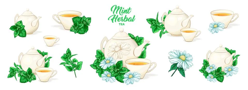 Herbal Tea with Mint in Ceramic Teapot and Tea cup. Clipart Vector Set. イラスト素材