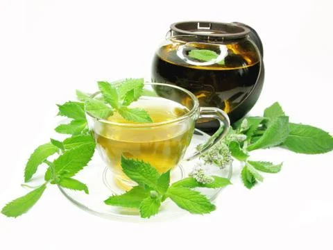 Herbal tea with mint extract Stock Photos