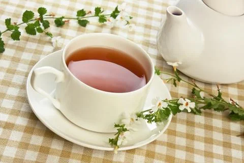 Herbal tea Stock-Fotos
