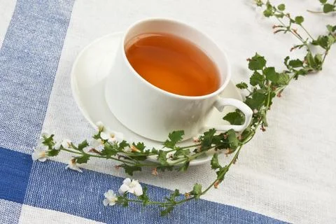 Herbal tea Foto stock