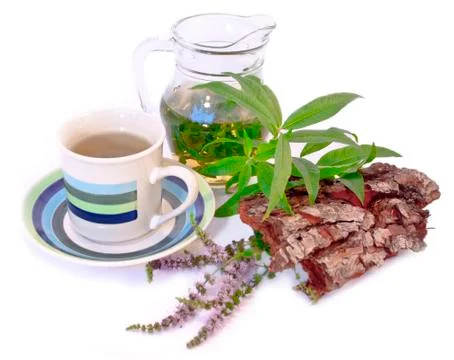 Herbal tea Foto stock