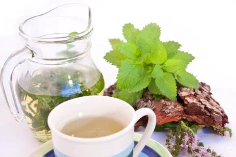 Herbal tea Foto stock