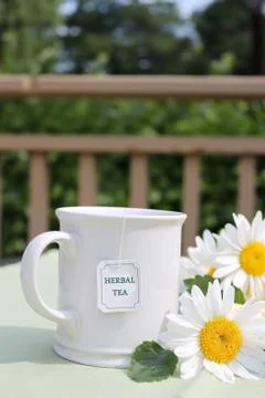 Herbal tea Stock Photos