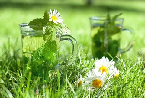 Herbal tea Stock Photos