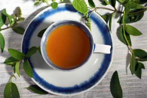 Herbal tea Stock Photos