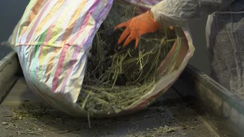 Herbal tea processing in the factory․ Stock Footage 143305075