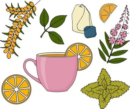 Herbal tea set. Herbal tea cup, plants and fruits raster Illustration Stock Illustration