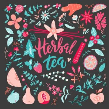 Herbal Tea vector illustration. Big Set with herbal and berry, fruit ingredie Stock Illustration
