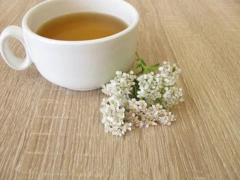 Herbal tea with yarrow Stock Photos
