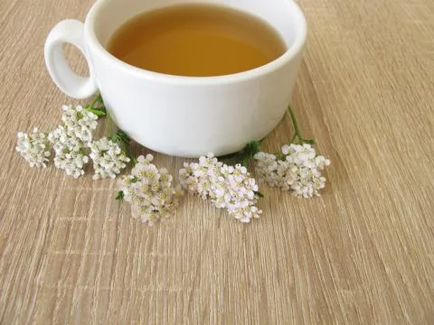 Herbal tea with yarrow Stock Photos