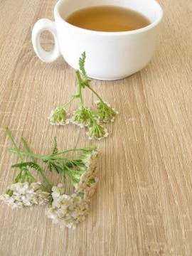 Herbal tea with yarrow Stock Photos