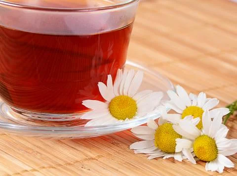 Herbal teas in cup with chamomile Stock Photos