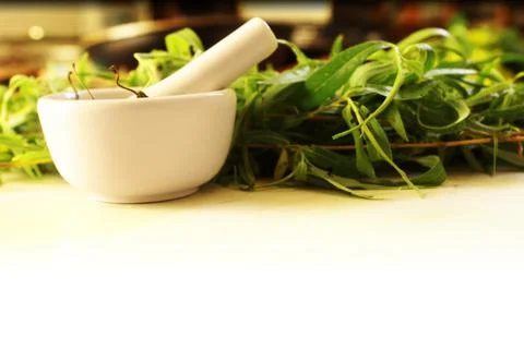 Herbal Theme Template Stock Photos