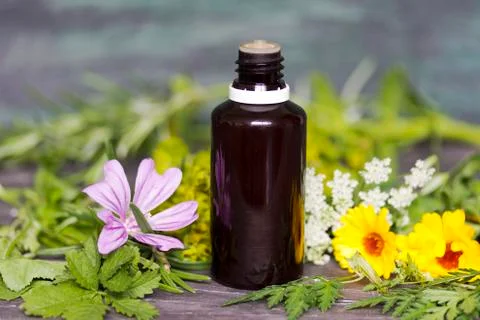 Herbal Therapy Stock-Fotos