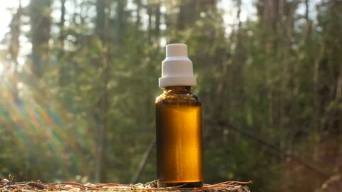Herbal tincture in a  bottle on a  stump in the rays of the sun in the forest Stock Footage 232228124