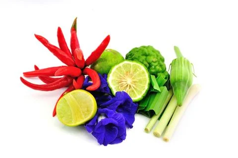 Herbal on white background Stock Photos