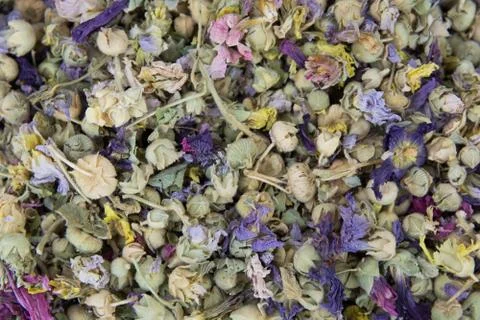 Herbal winter tea Stock Photos