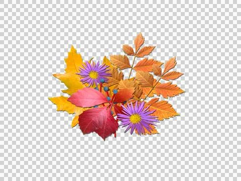 Herbarium as a bouquet Stock Illustration