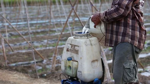 Herbicides to spray cucumber Video stock 75521244
