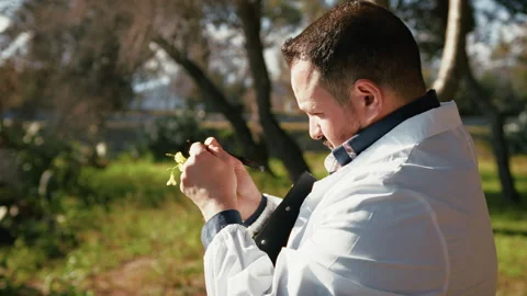 Herborist Analyzing All The Different Parts Of A Flower Stock Footage 310686781
