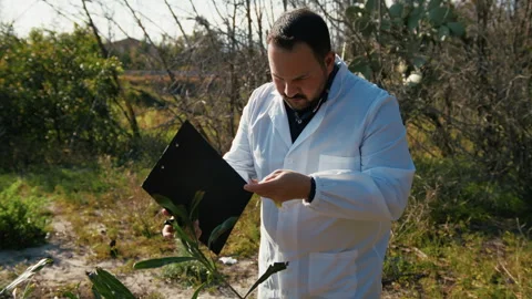 Herborist Analyzing Plants In The Nature Stock Footage 310682788