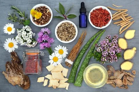 Herbs and Flowers for Aromatherapy Remedies Stock Photos