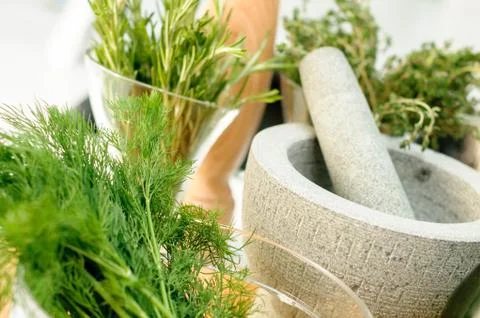 Herbs and Mortar for spices clode up Stock Photos