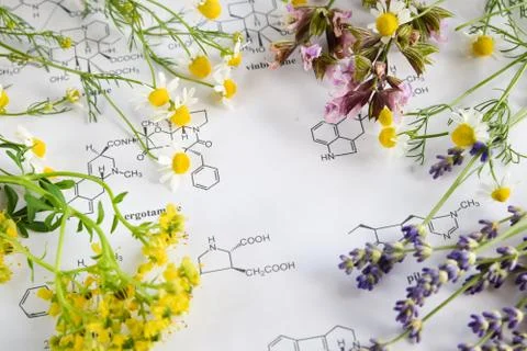 Herbs and science Foto stock