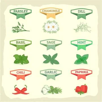 Herbs and spices Stock Illustration