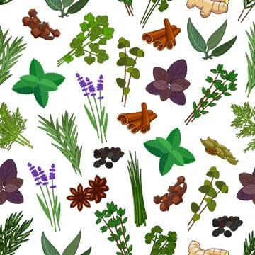 Herbs and spices seamless pattern Stock Illustration