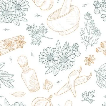 Herbs and Spices Seamless Pattern, Natural Organic Healthy Products, Hand Drawn Stock Illustration
