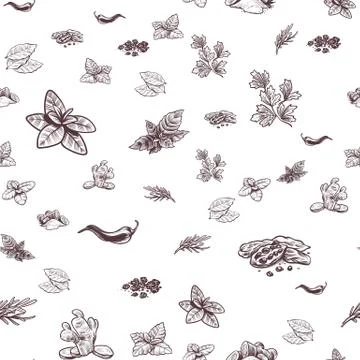 Herbs and spices seamless pattern. Hand drawn ginger, chilli and black pepper Stock Illustration