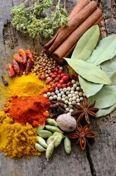 Herbs and spices selection Stock Photos