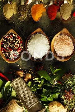 Herbs and spices selection Stock Photos