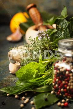 Herbs and spices selection Stock Photos