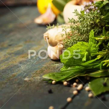 Herbs and spices selection Stock Photos