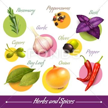 Herbs and spices set Stock Illustration