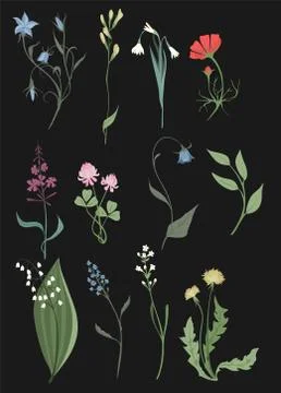 Herbs and Wild Flowers vector clip art set Stock Illustration