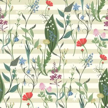 Herbs and Wild Flowers vector seamless pattern Stock Illustration
