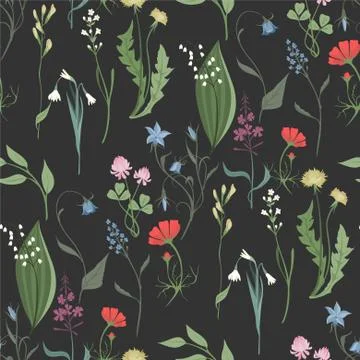 Herbs and Wild Flowers vector seamless pattern Stock Illustration