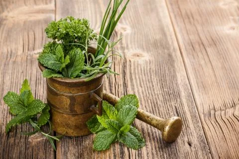 Herbs with antique mortar Stock Photos