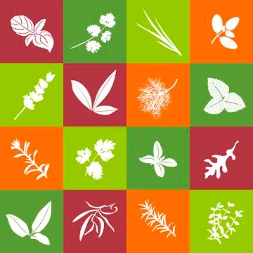 Herbs color squared vector seamless pattern Stock Illustration